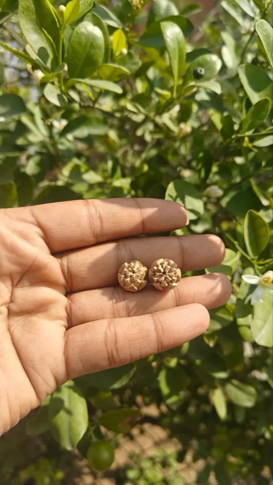 Handcrafted Original Tulsi Studs – Pure & Sacred from Vraja